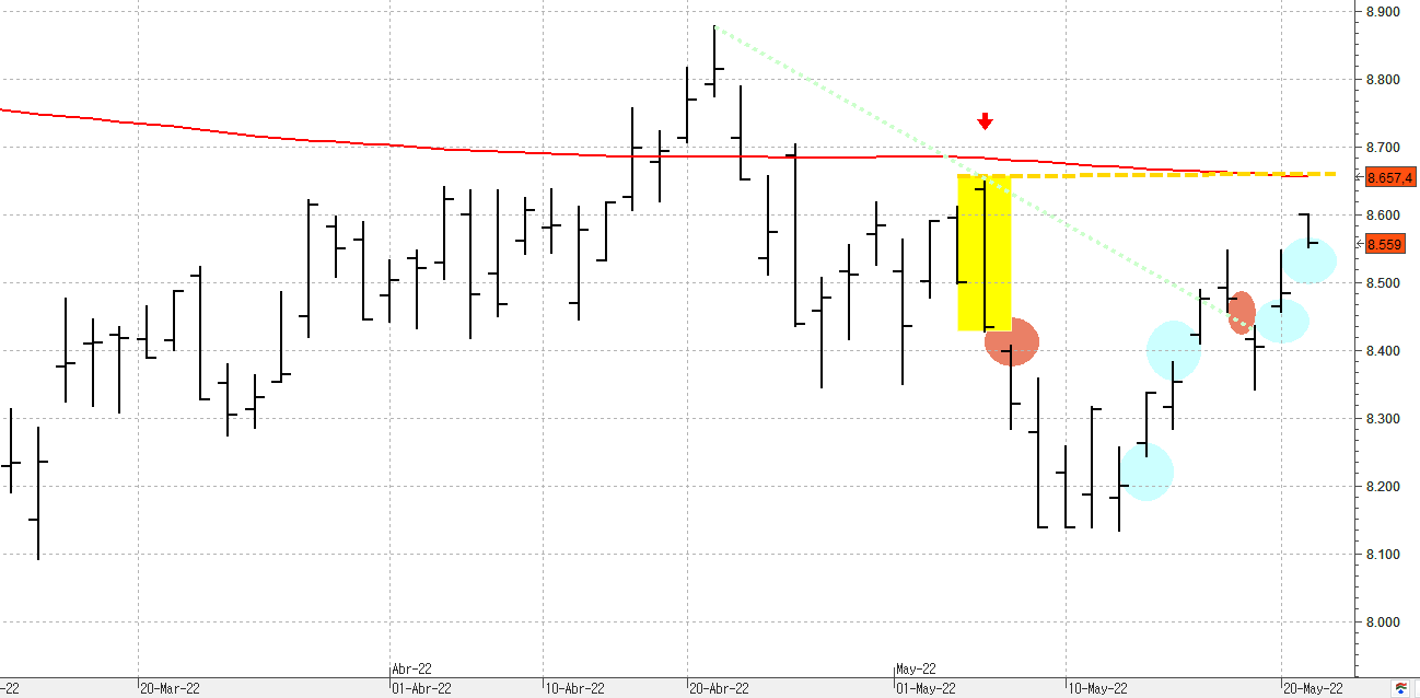 q230522ibex