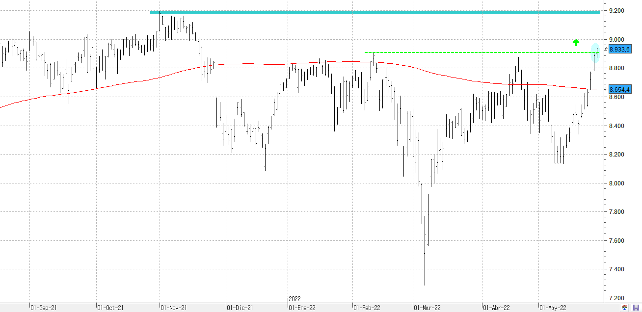 c270522ibex