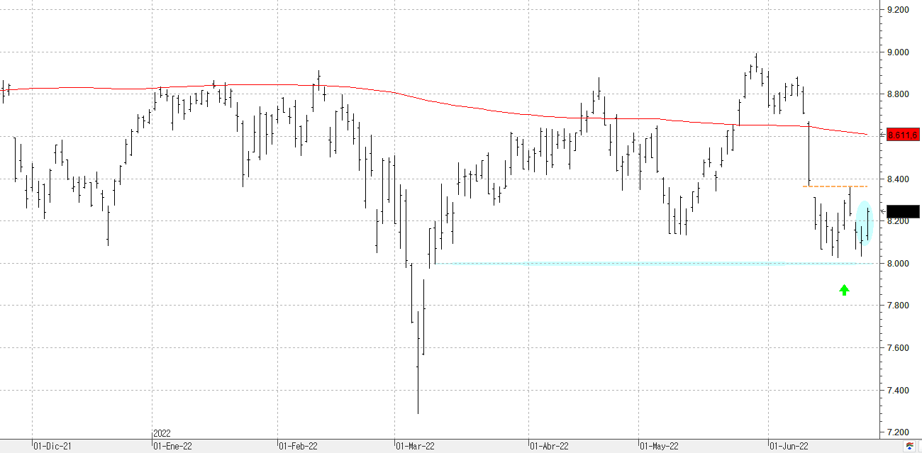 c240622ibex