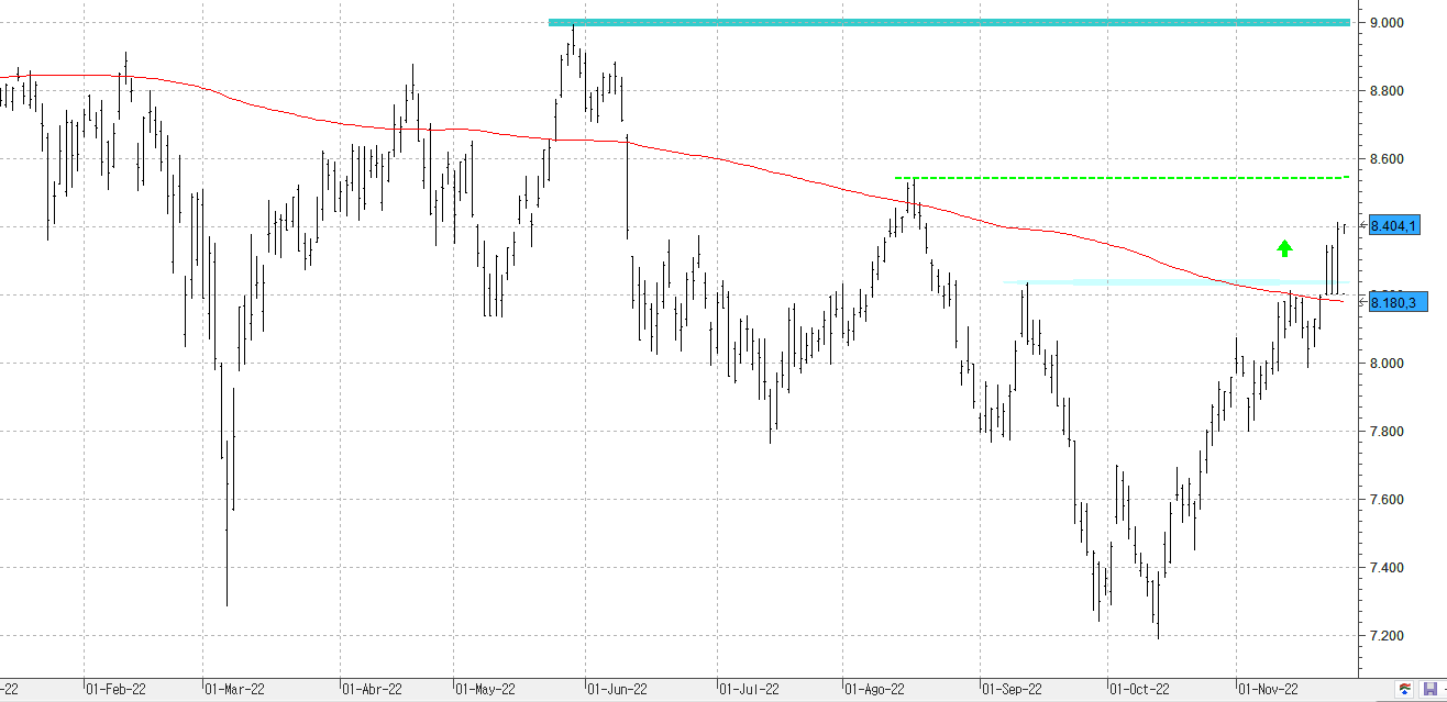 271122ibex